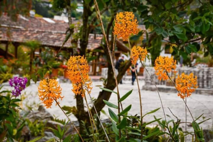 Uzhupud Garden Hotel & Lodge Paute 外观 照片